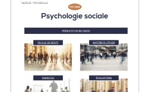 PSY 3005